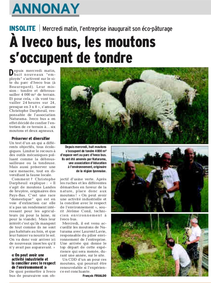 Iveco Bus à Annonay choisit l’éco-pâturage