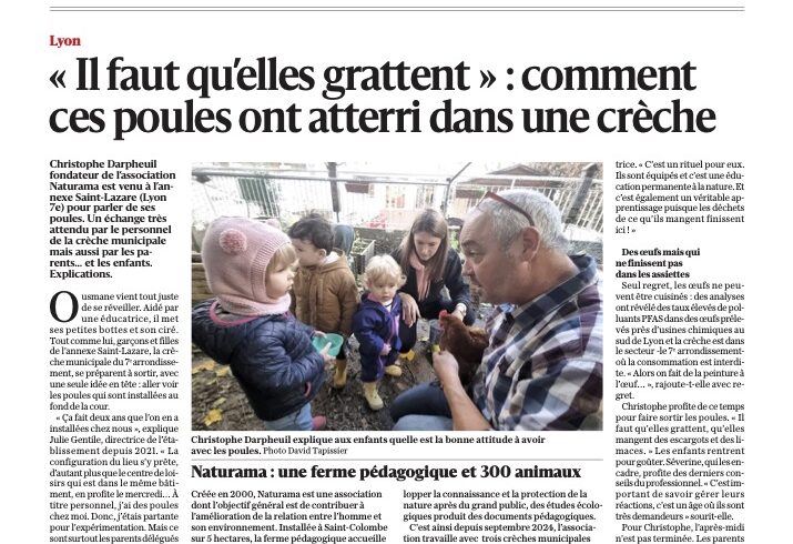 Des poules dans les crèches de Lyon