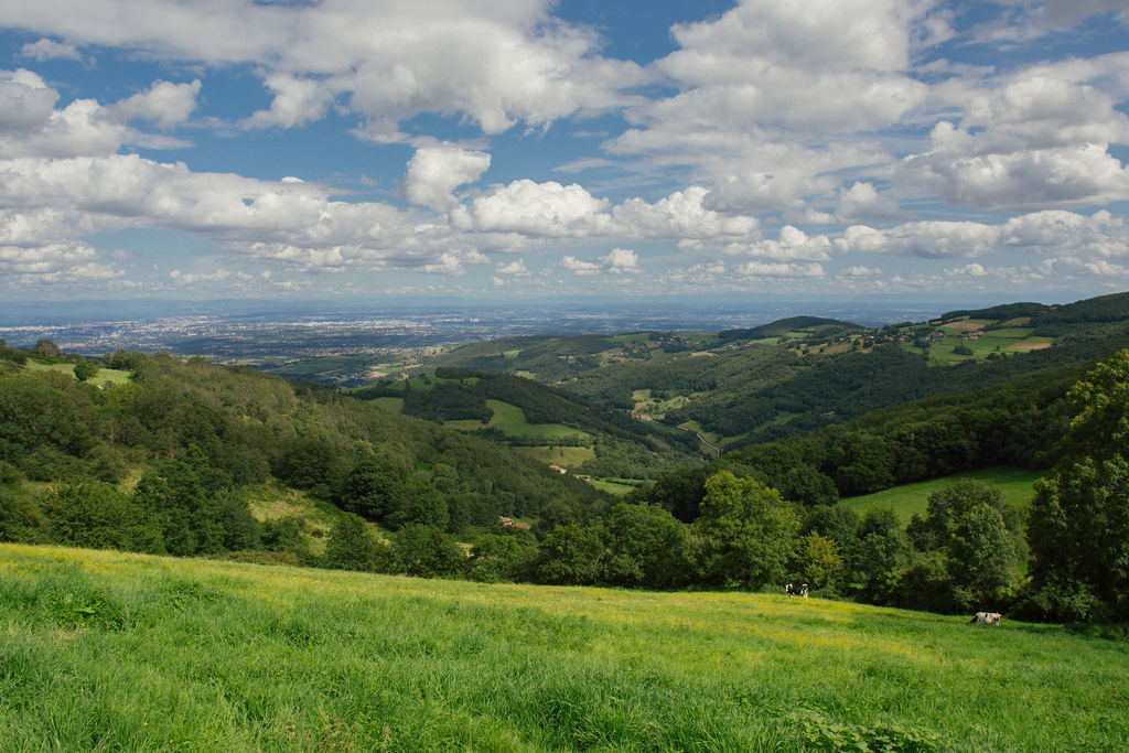 Yzeron-route-des-crêtes-Melissa-Edo-1