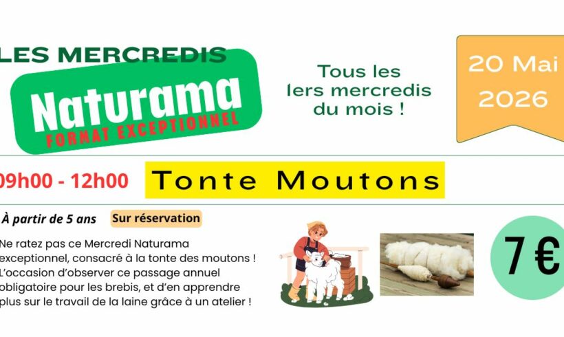 Mercredi Naturama Spécial Tonte des Moutons – 20 mai 2026