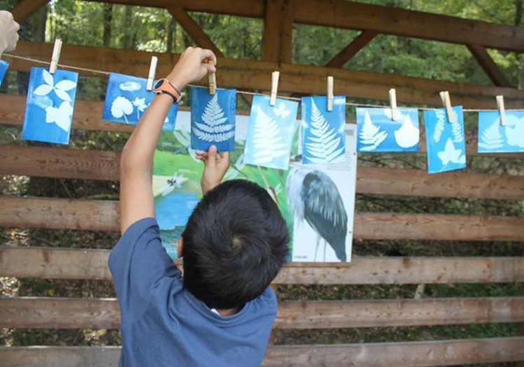 animation lecture paysage enfants animations des feuilles